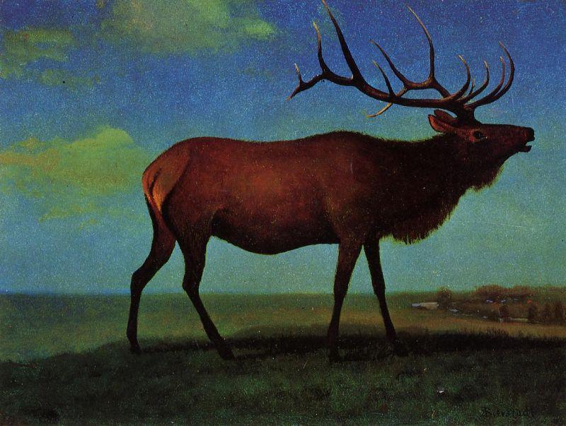 Albert Bierstadt Elk